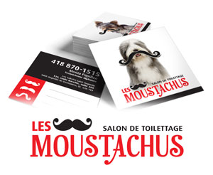 Les Moustachus